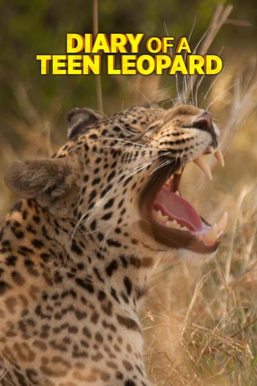 Diary of a Teen Leopard poster