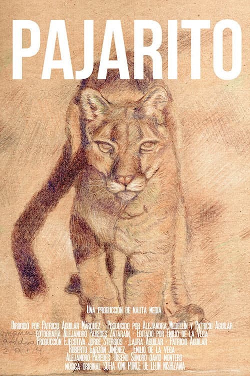 Pajarito poster