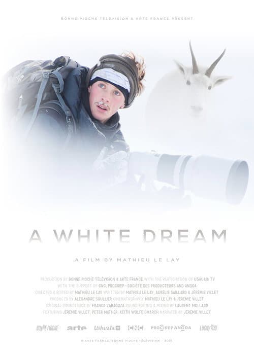 A White Dream poster