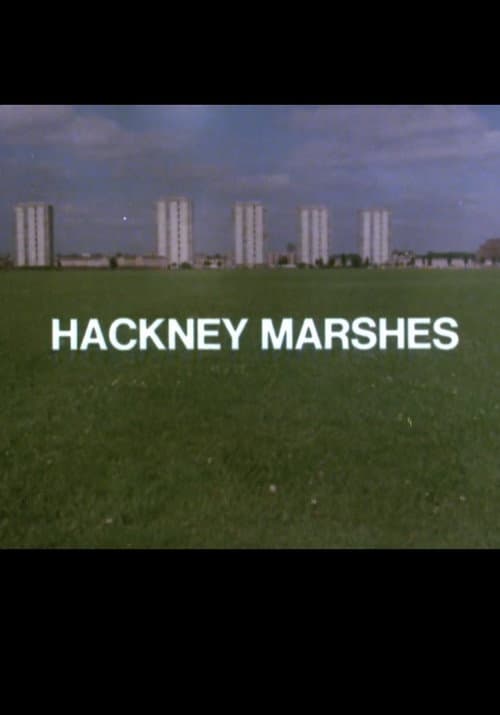 Hackney Marshes poster