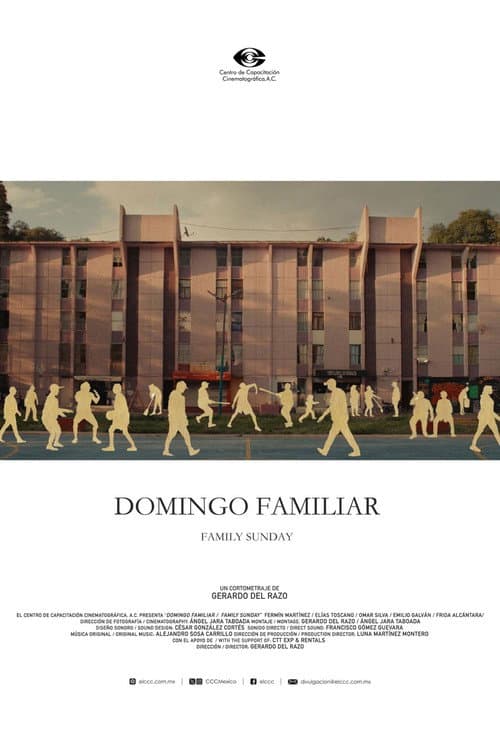 Family Sunday poster