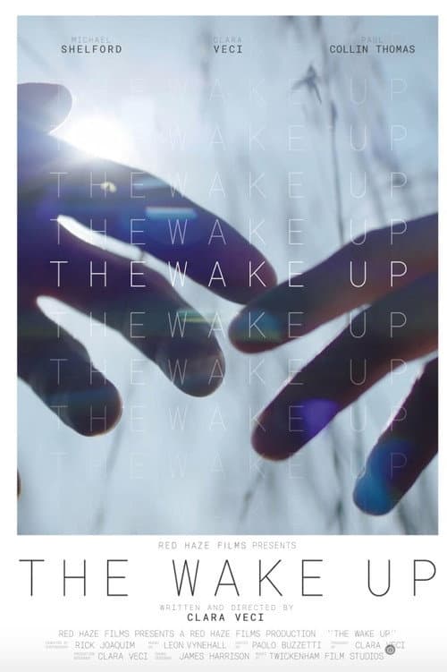The Wake Up poster