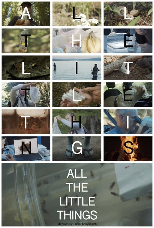 All the Little Things poster