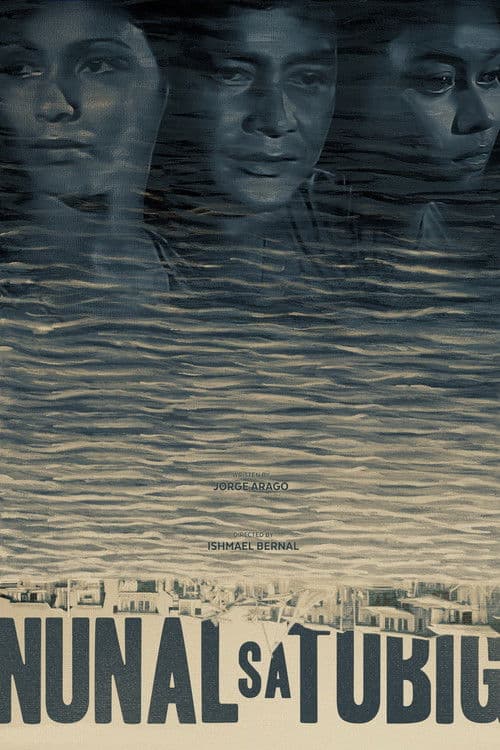 A Speck in the Water poster