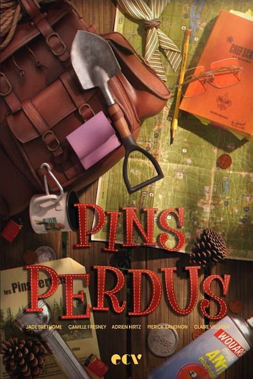 Pins perdus poster