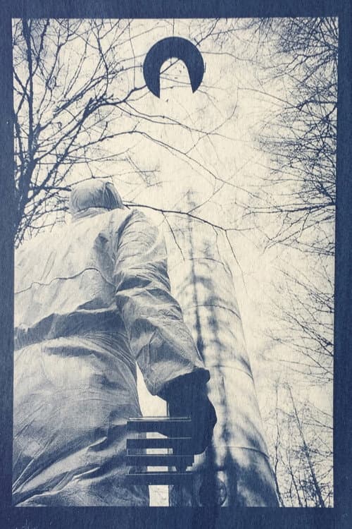 Mittel Würffel poster