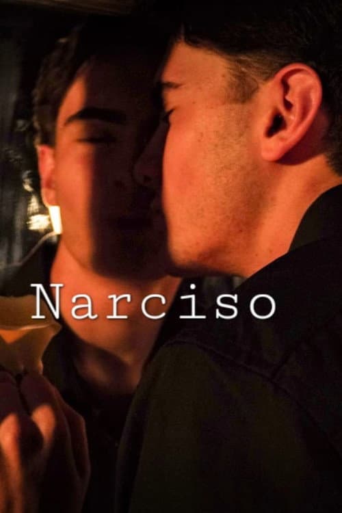 Narciso poster