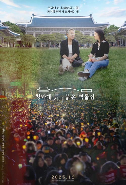 The Blue Roof from the Window poster