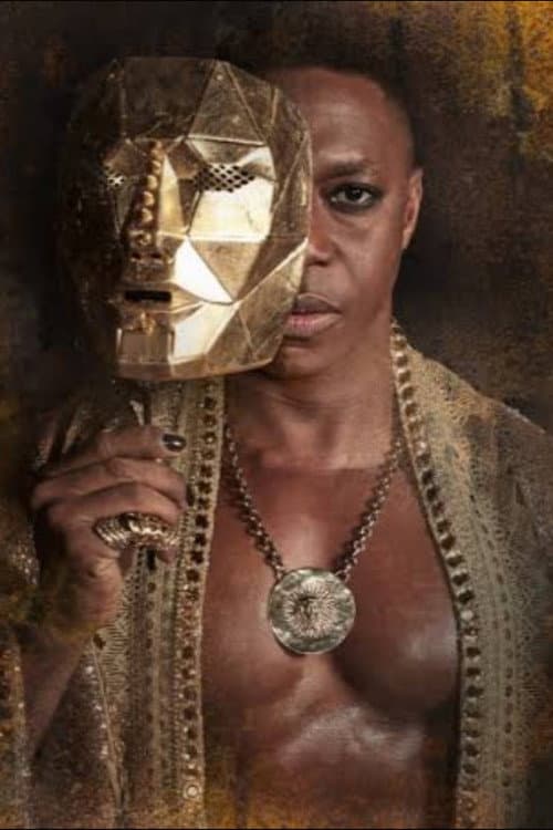 IRON - O Homem da Máscara de Ferro poster