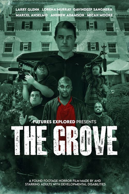 The Grove poster