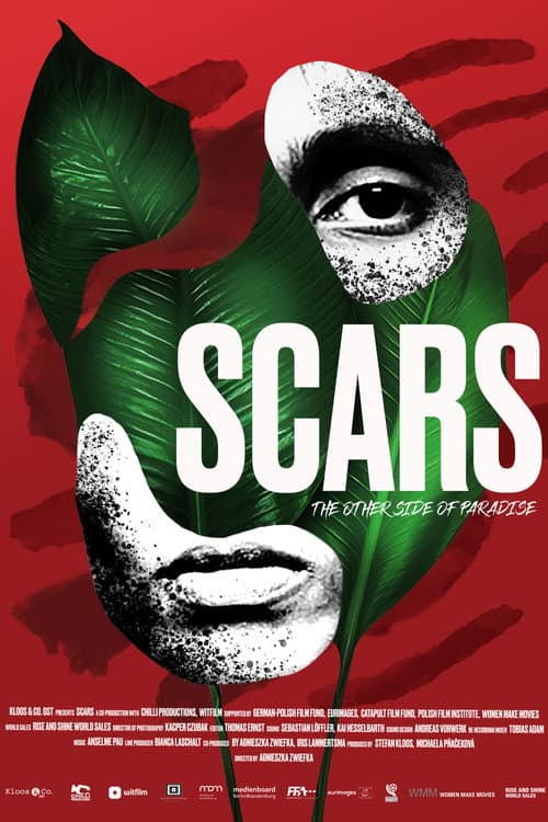Scars poster