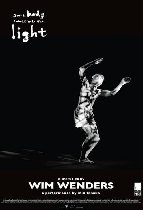 Some Body Comes Into the Light poster