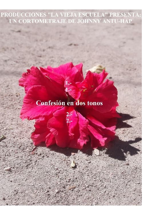 Confesión en dos tonos poster