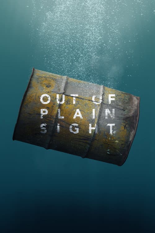 Out of Plain Sight poster