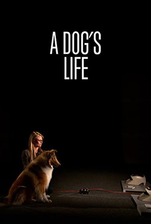 A Dog's Life poster