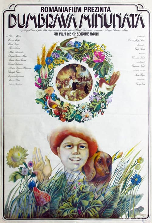 The Enchanted Grove poster