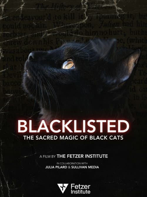 Blacklisted poster