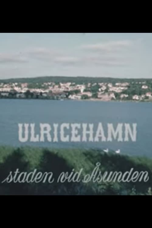 Ulricehamn, the town by Åsunden poster