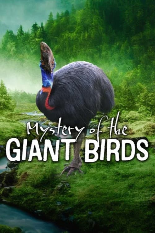 Mystery of the Giant Birds poster