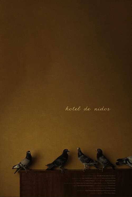Hotel nests poster