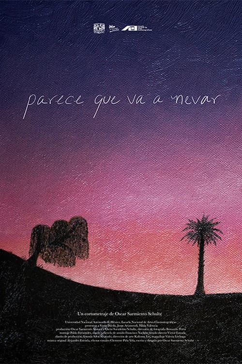Parece que va a nevar poster