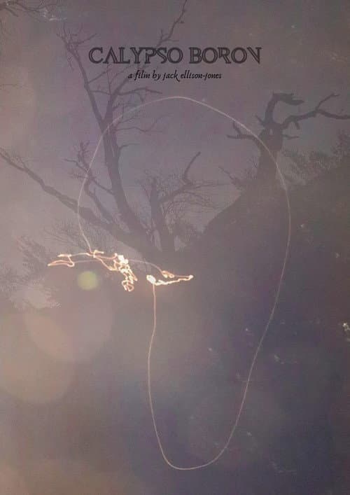 Calypso Boron poster