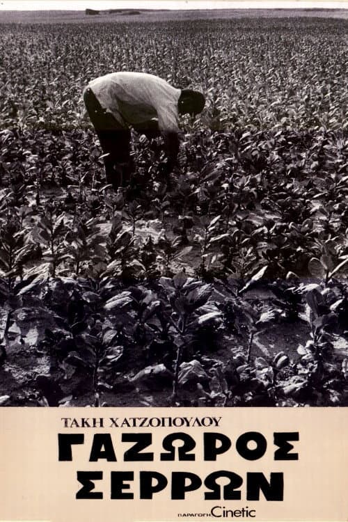 Gazoros Serron poster