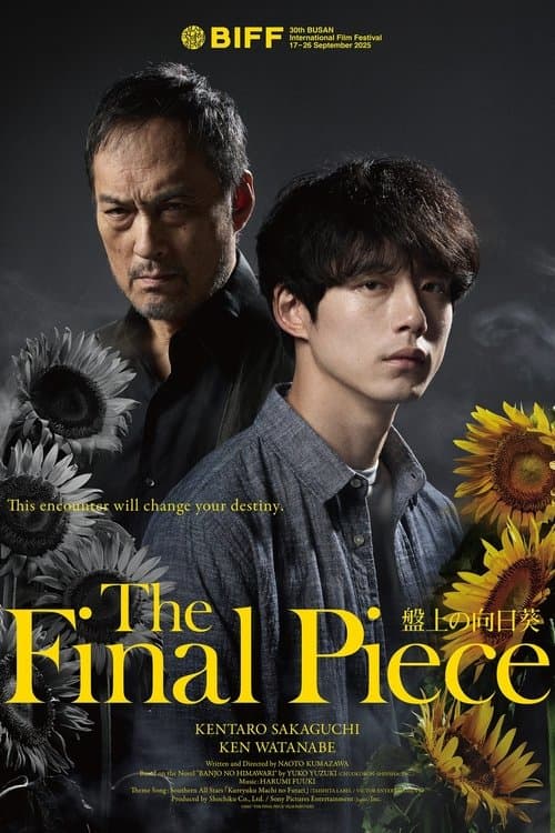 The Final Piece poster