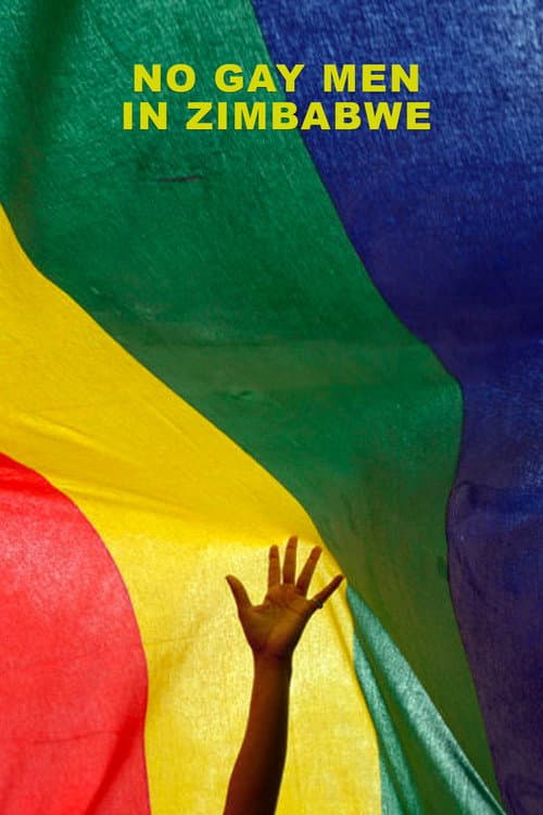 No Gay Men in Zimbabwe poster