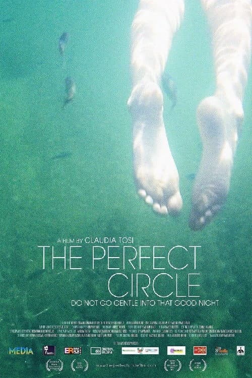 The Perfect Circle poster