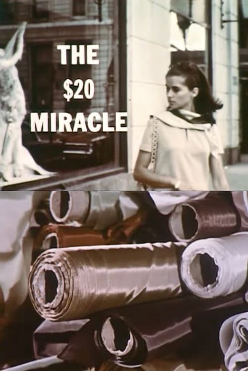The Twenty Dollar Miracle poster