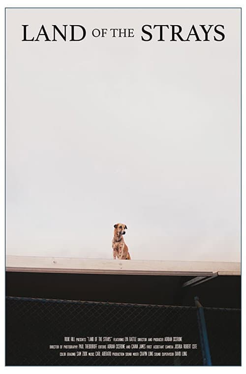Land of the Strays poster
