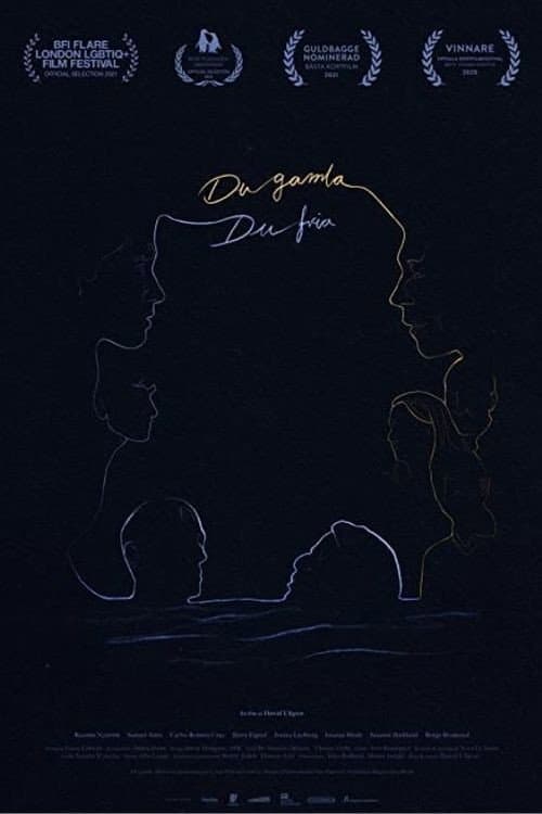 Land of the Free poster