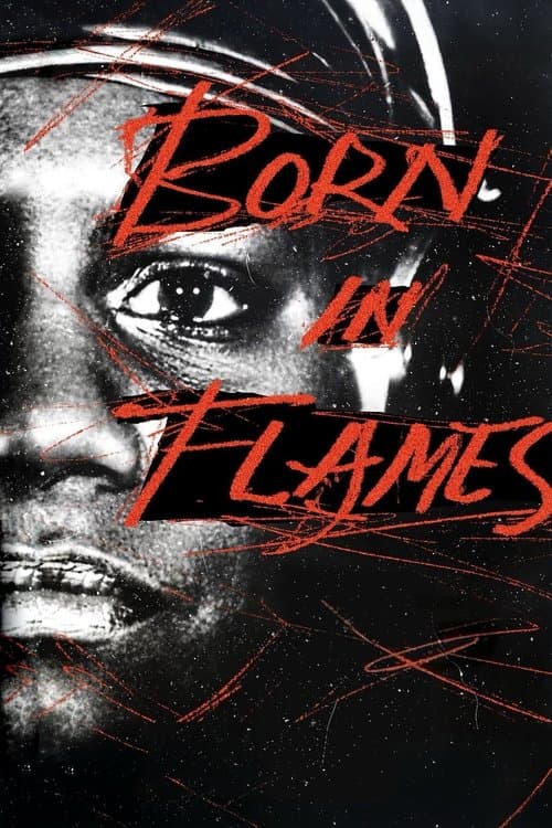 Born in Flames poster