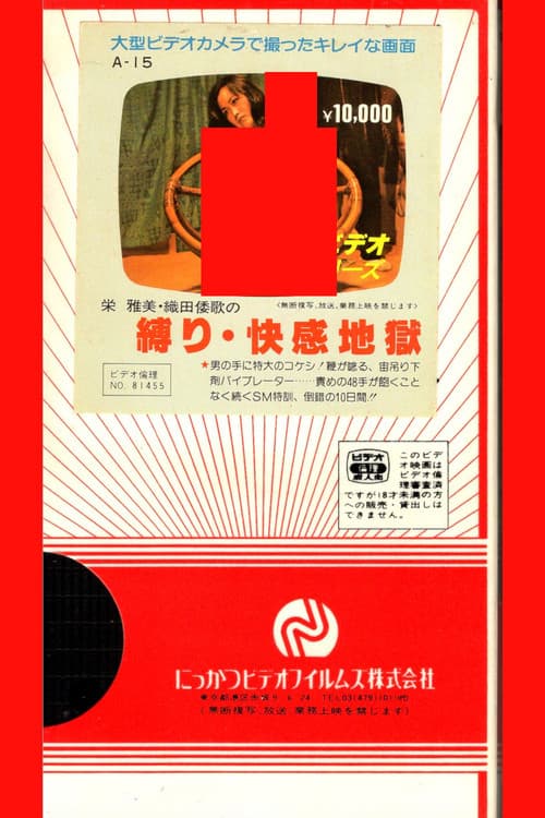 Bondage and Pleasure Hell poster