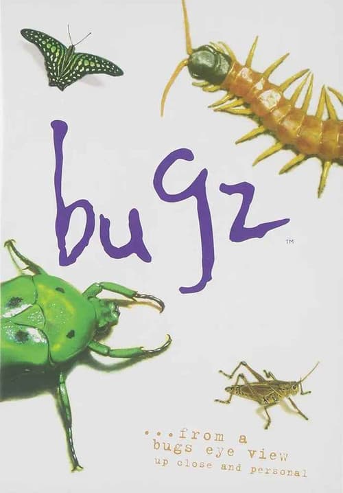 Bugz poster