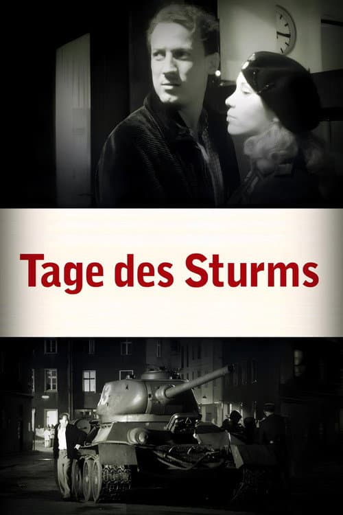 Tage des Sturms poster