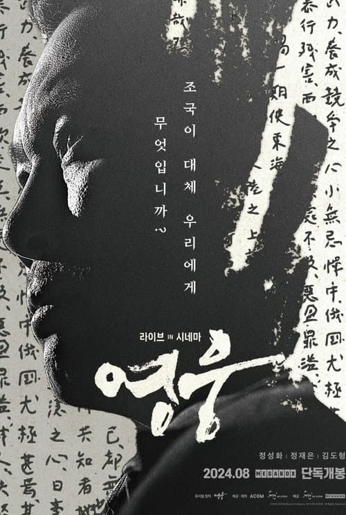 Hero: Live in Cinema poster