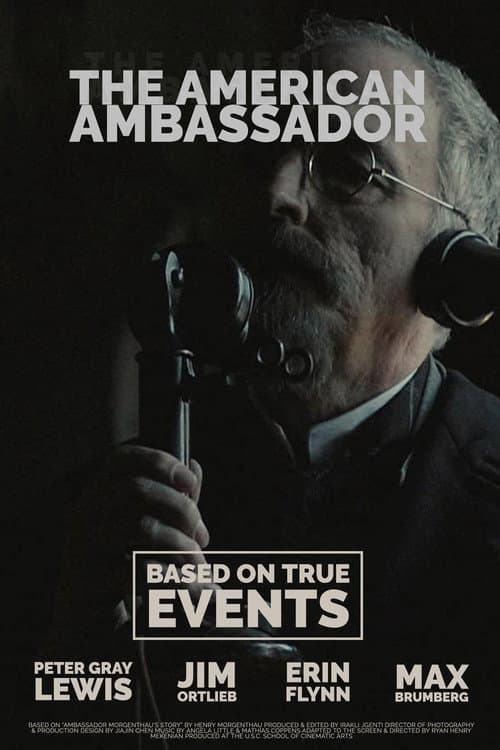 The American Ambassador poster
