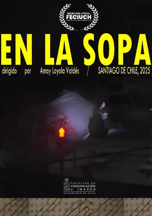 En la Sopa poster