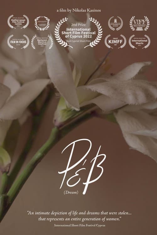 Dream poster