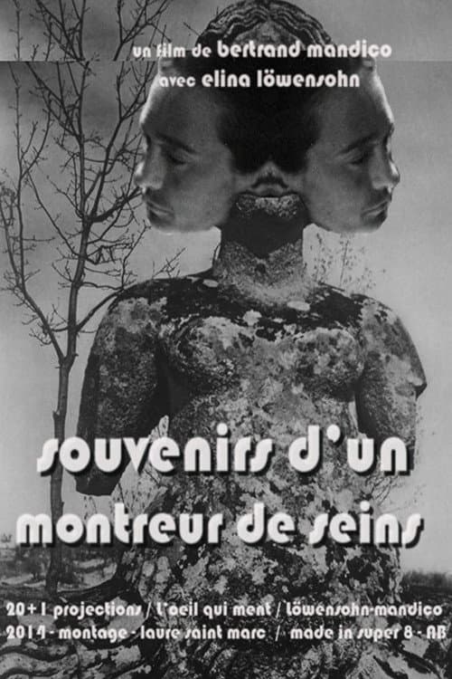 Memories of a Boobs Flasher poster