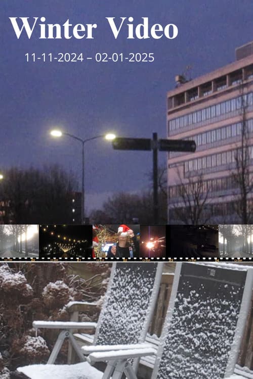 Winter Video poster