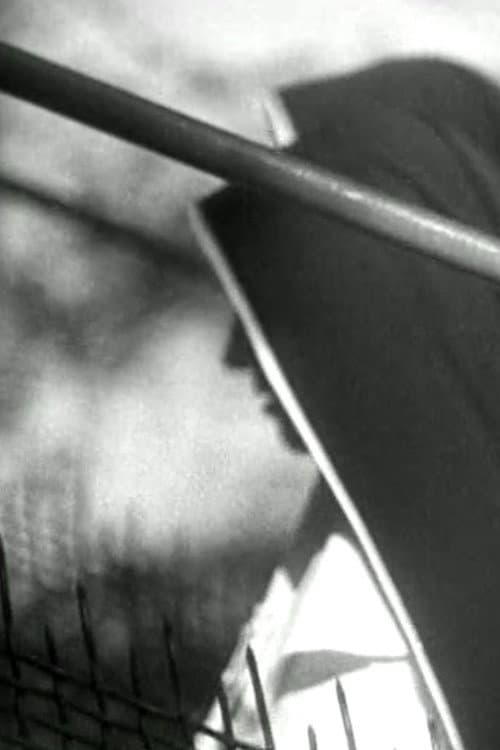 Visions of Lourdes poster