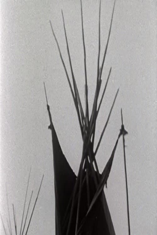 A Pinto for the Prince poster