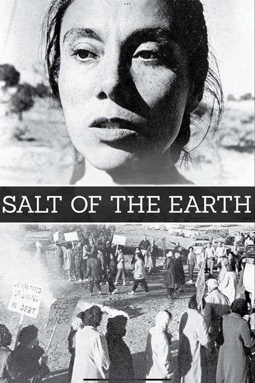 Salt of the Earth poster