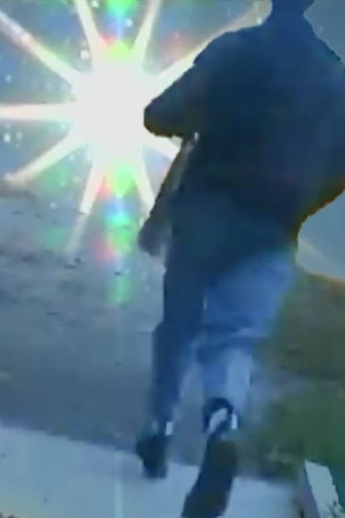 THE BOARDWALK IS THE BRIDGE BECAUSE EVERYTHING IS WATER poster