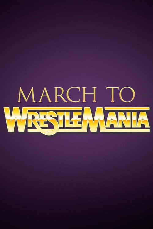 WWE March to WrestleMania X poster