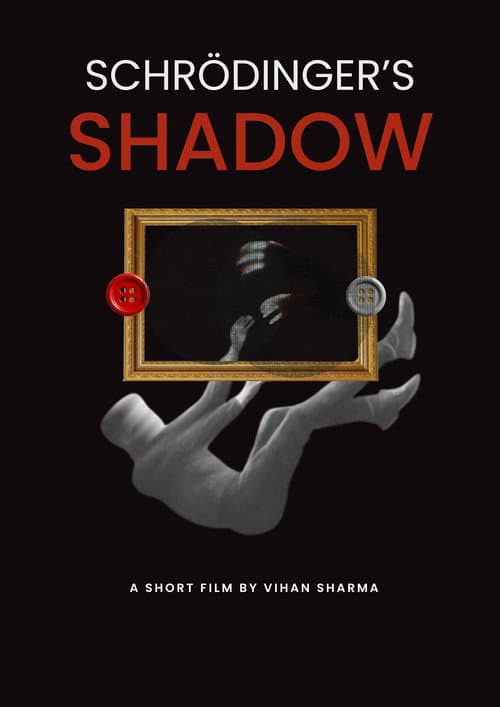 Schrödinger's shadow poster