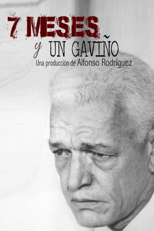 7 meses y un Gaviño poster